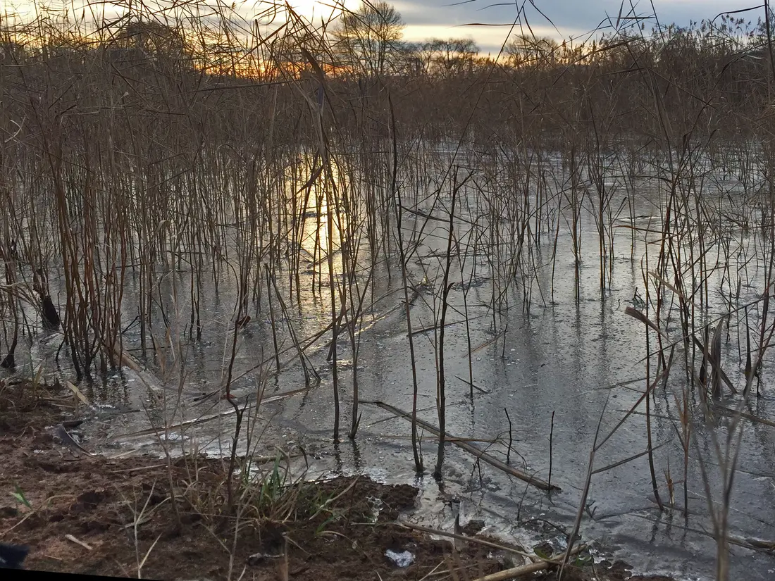 ein zugefrorener Teich