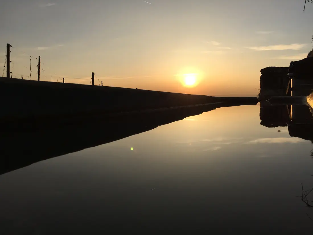 Serie Haltingen zeigt Fotos aus dem Markgräfler Land  