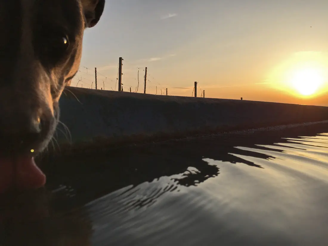 Serie Haltingen zeigt Fotos aus dem Markgräfler Land  