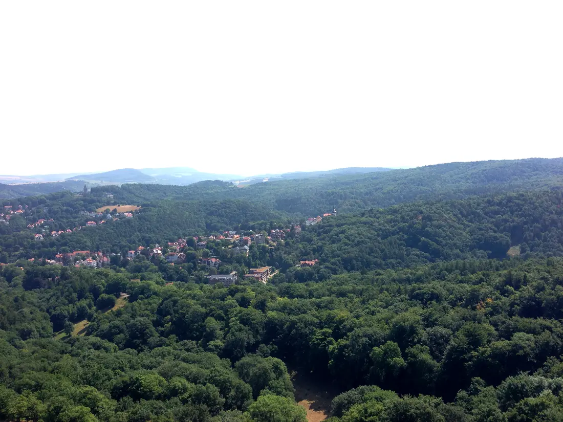 Blick über den Thüringer Wald vom Turm in der Wartburg