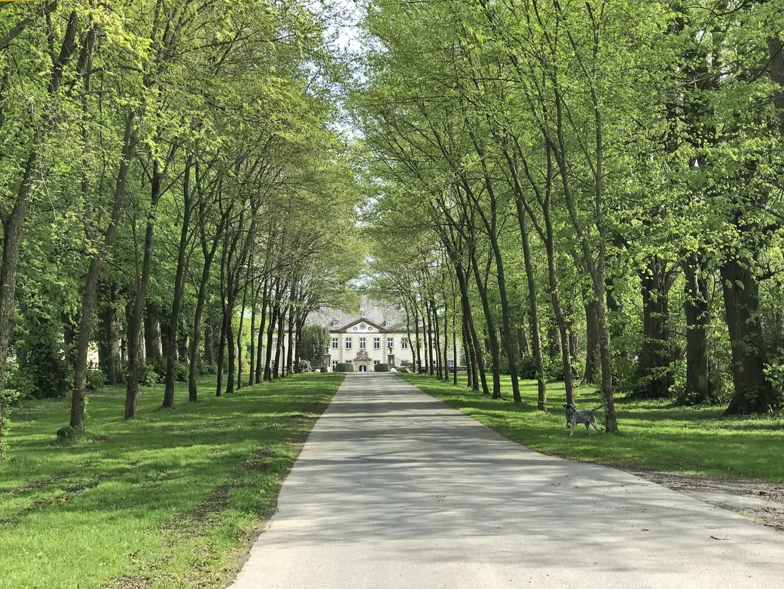 Eine beeindruckende Allee