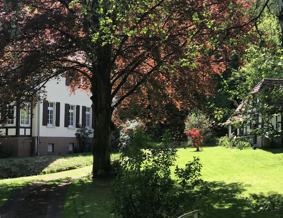 FGartenbild