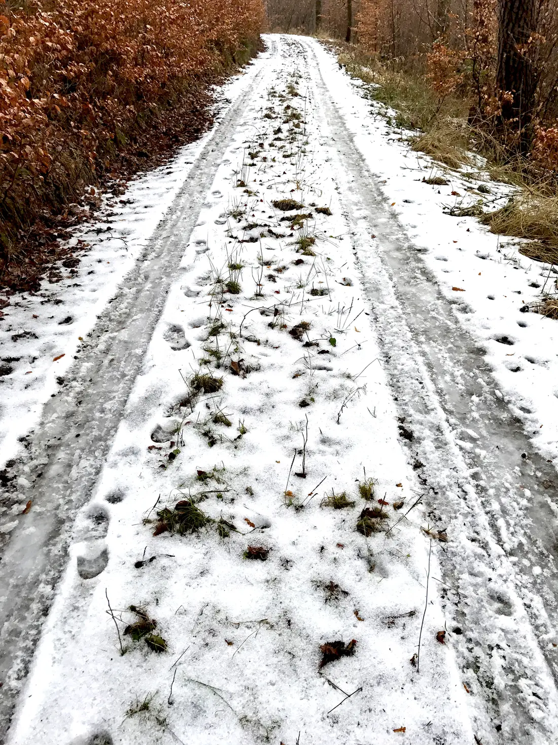 verharschter Schnee, halb weggetaut 