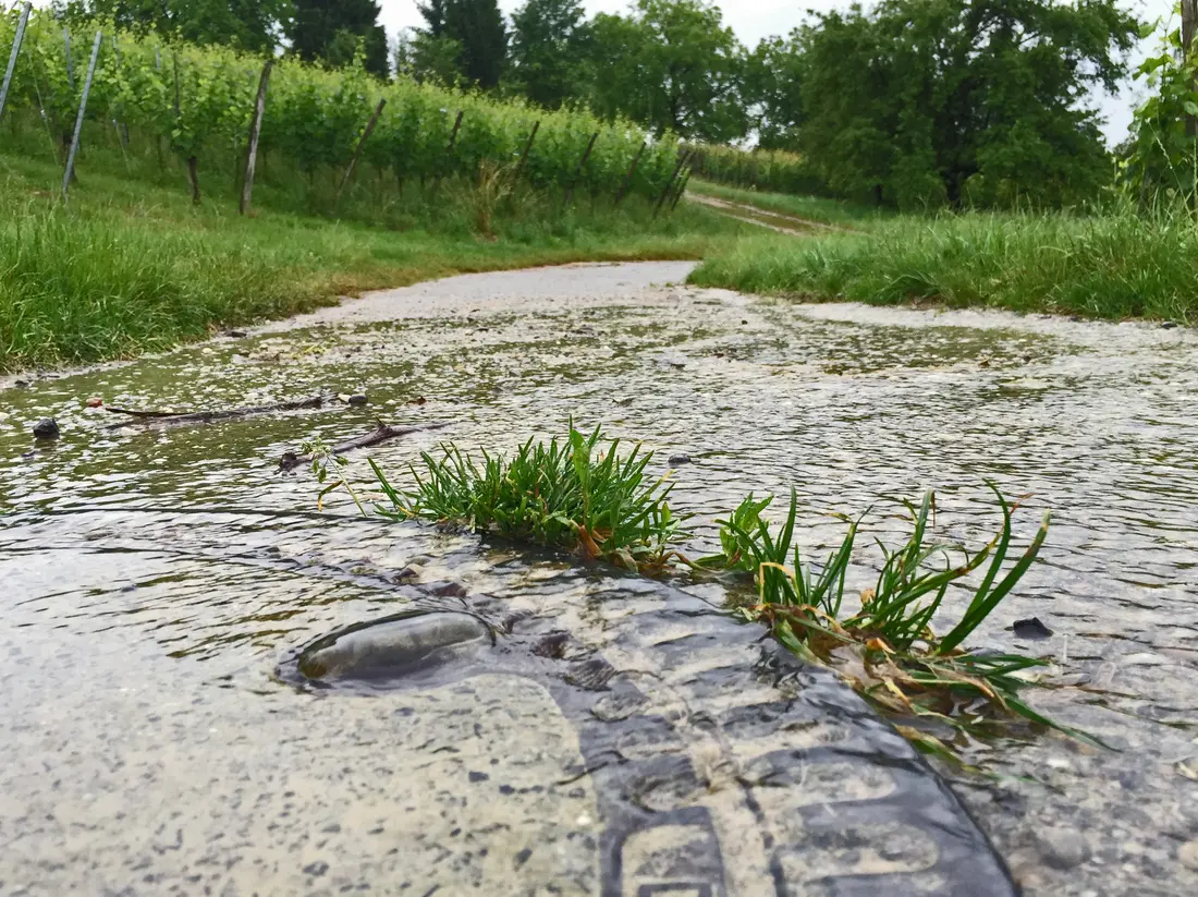 Serie Haltingen zeigt Fotos aus dem Markgräfler Land 