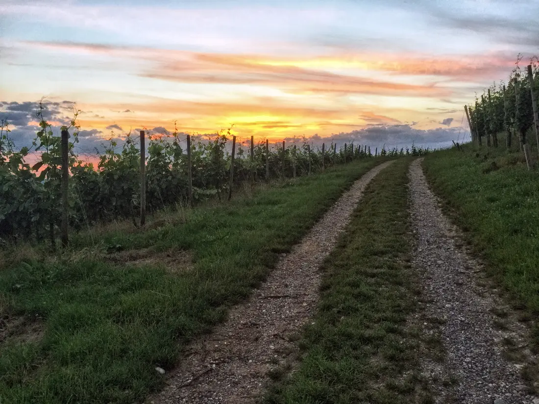 Serie Haltingen zeigt Fotos aus dem Markgräfler Land 