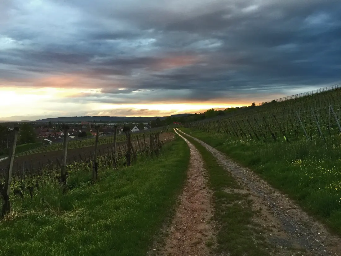 Serie Haltingen zeigt Fotos aus dem Markgräfler Land 
