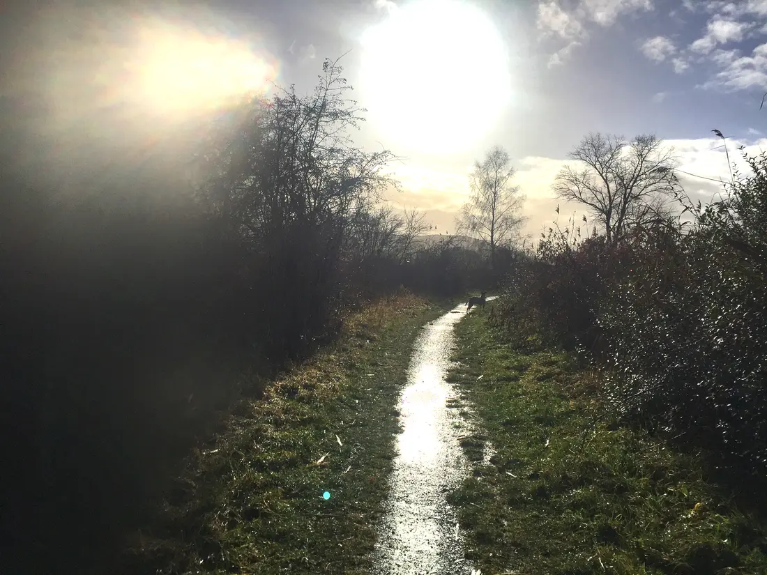 Weg an der Werra in grellem Licht