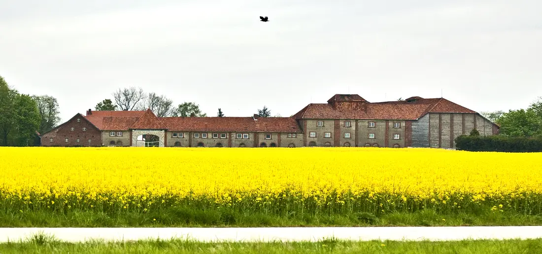 Ein langgestrecktes Gutgebäude hinter einem blühenden Rapsfeld