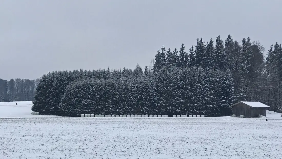 Strohballen auf Alm bei Bad Tölz