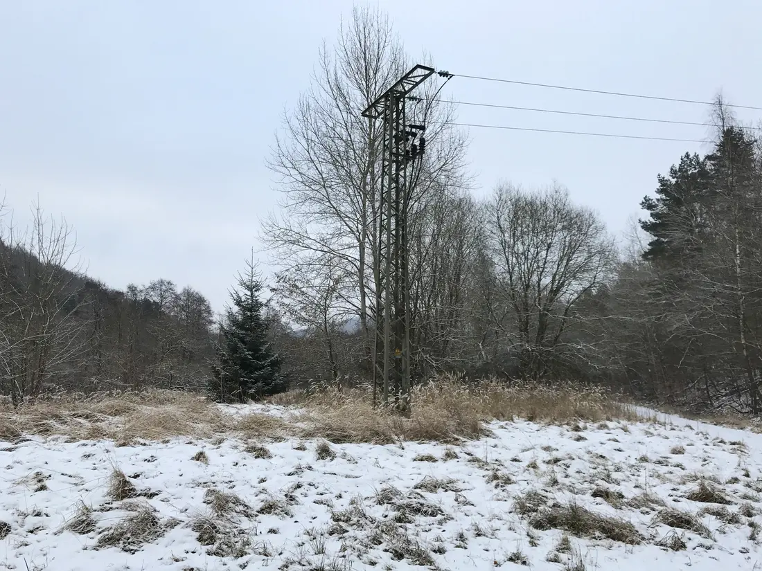 Stromtrasse verschwindet mitten im Wald im Boden