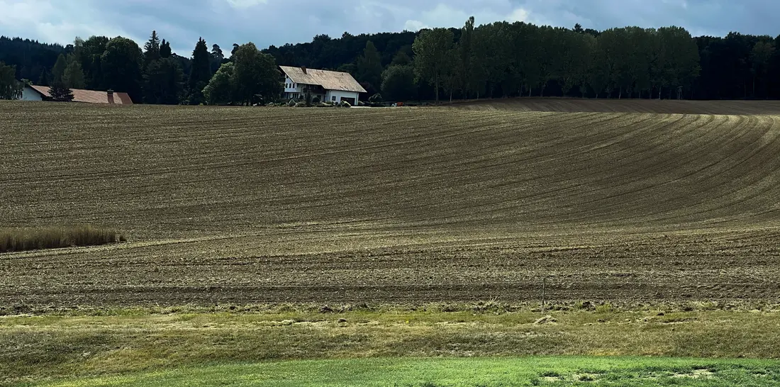 Ackerfläche bei Praforst
