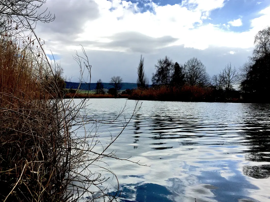 Eine Flusslandschaft - die Werra bei Heringen 