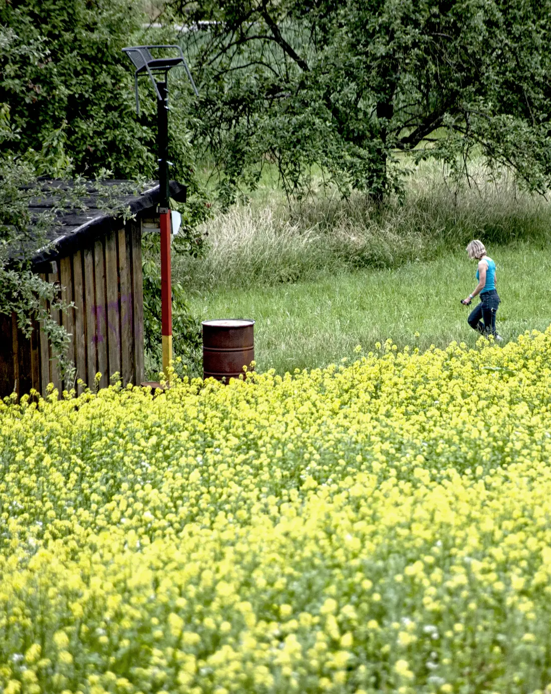 Serie Haltingen zeigt Fotos aus dem Markgräfler Land 