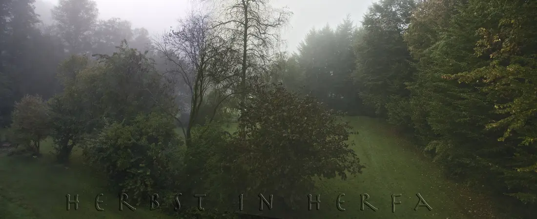 Blick in einen herbstlichen Park