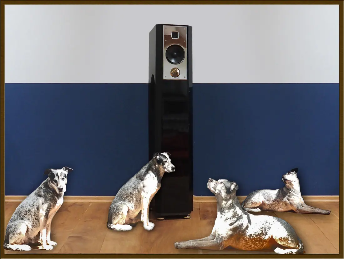 His Masters Voice - Hunde lauschen dem Lautsprecher