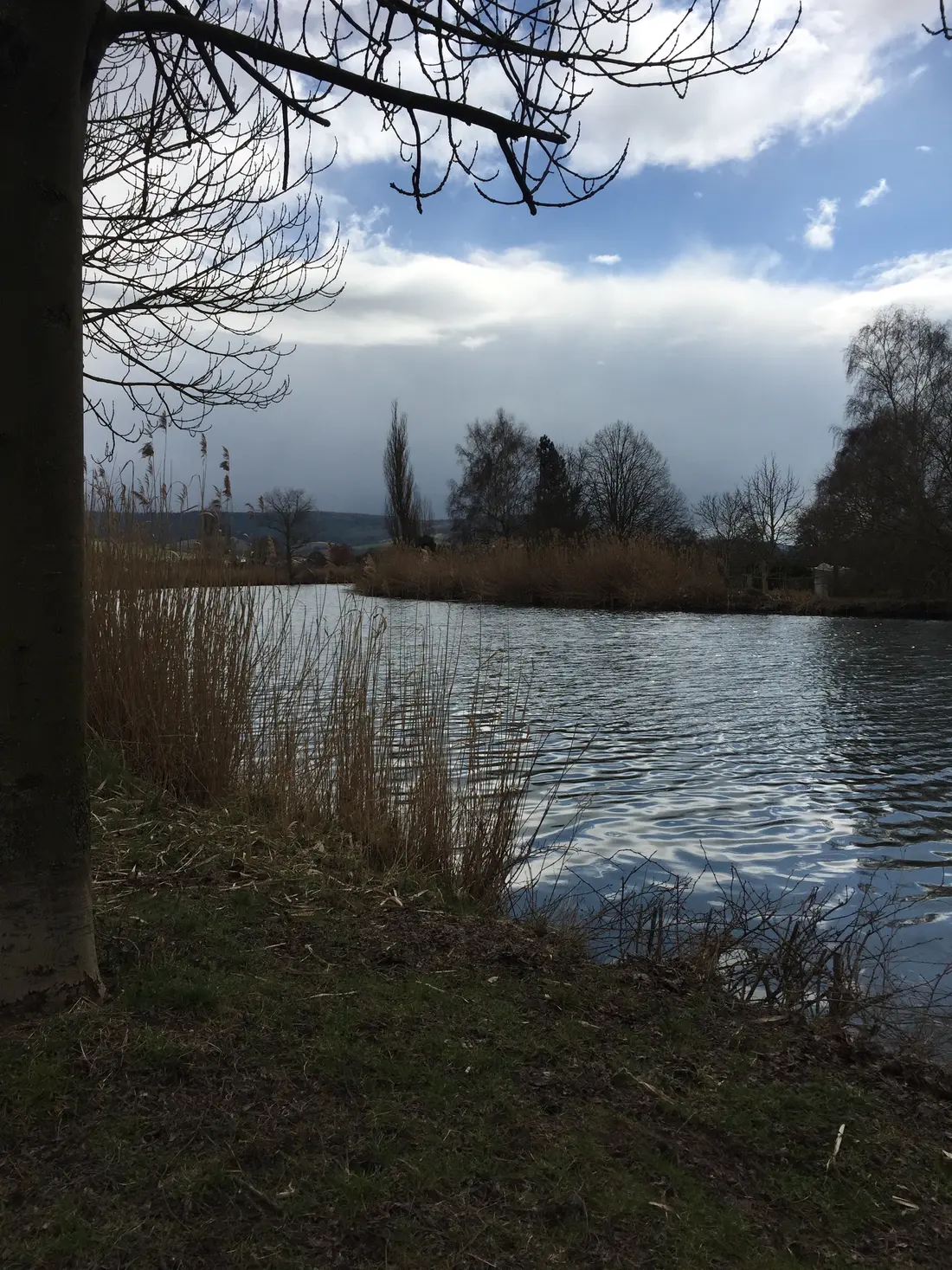 Eine Flusslandschaft - die Werra bei Heringen 