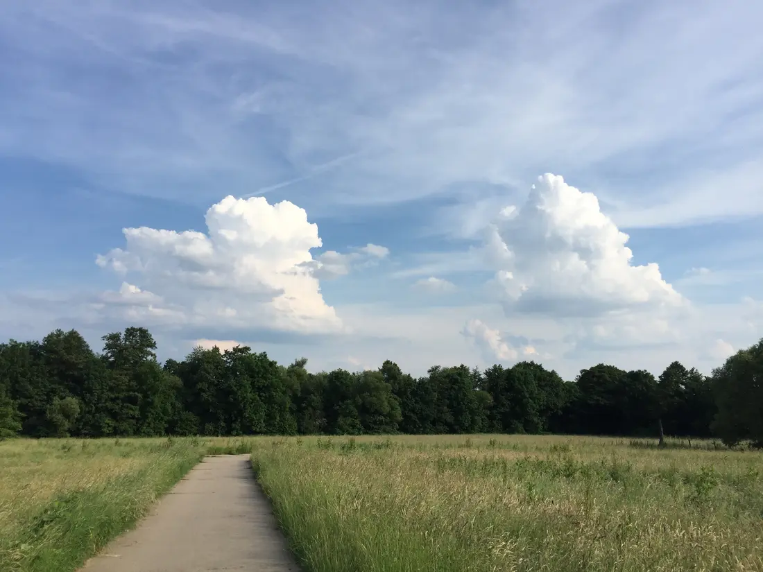 Ein Feldweg bei Kronberg