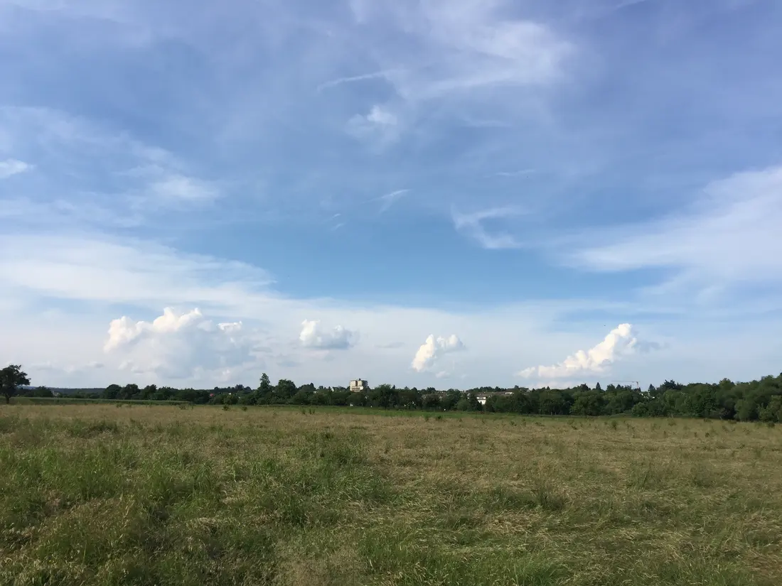 Blick übers Feld bei Kronberg