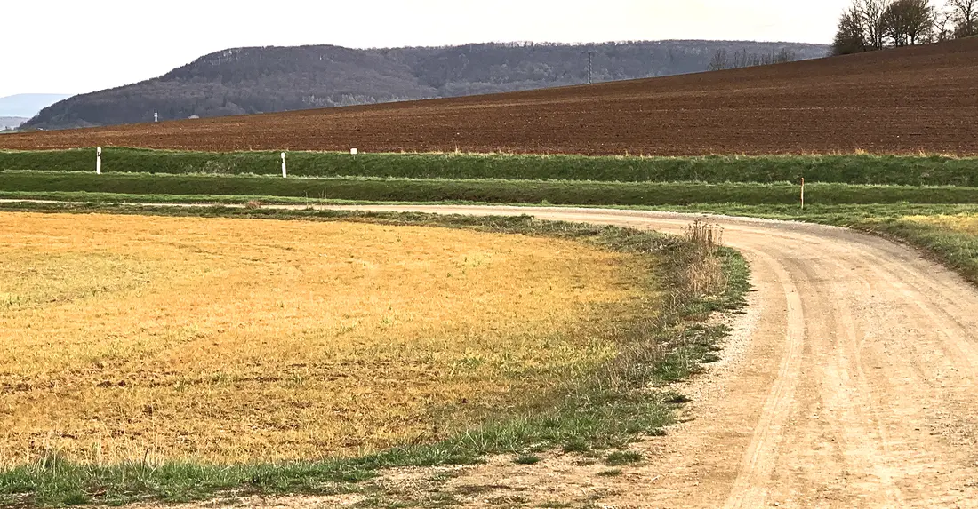 Ein Feldweg