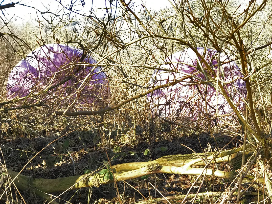 Silage-Ballen in rosa Plastik