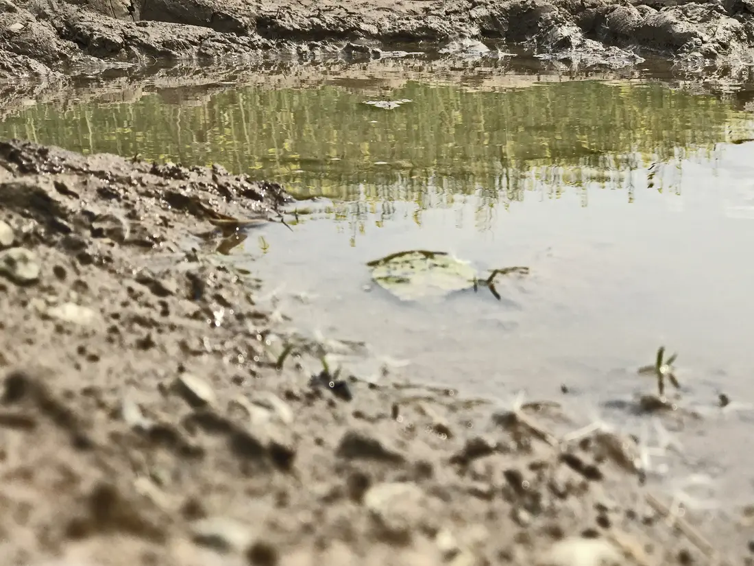 Eine Wasserpfütze