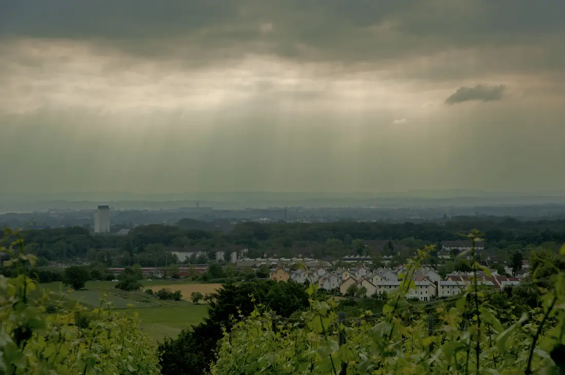 Serie Haltingen zeigt Fotos aus dem Markgräfler Land  