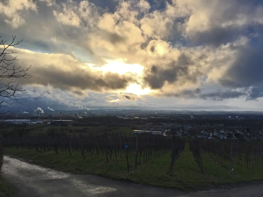 Serie Haltingen zeigt Fotos aus dem Markgräfler Land  