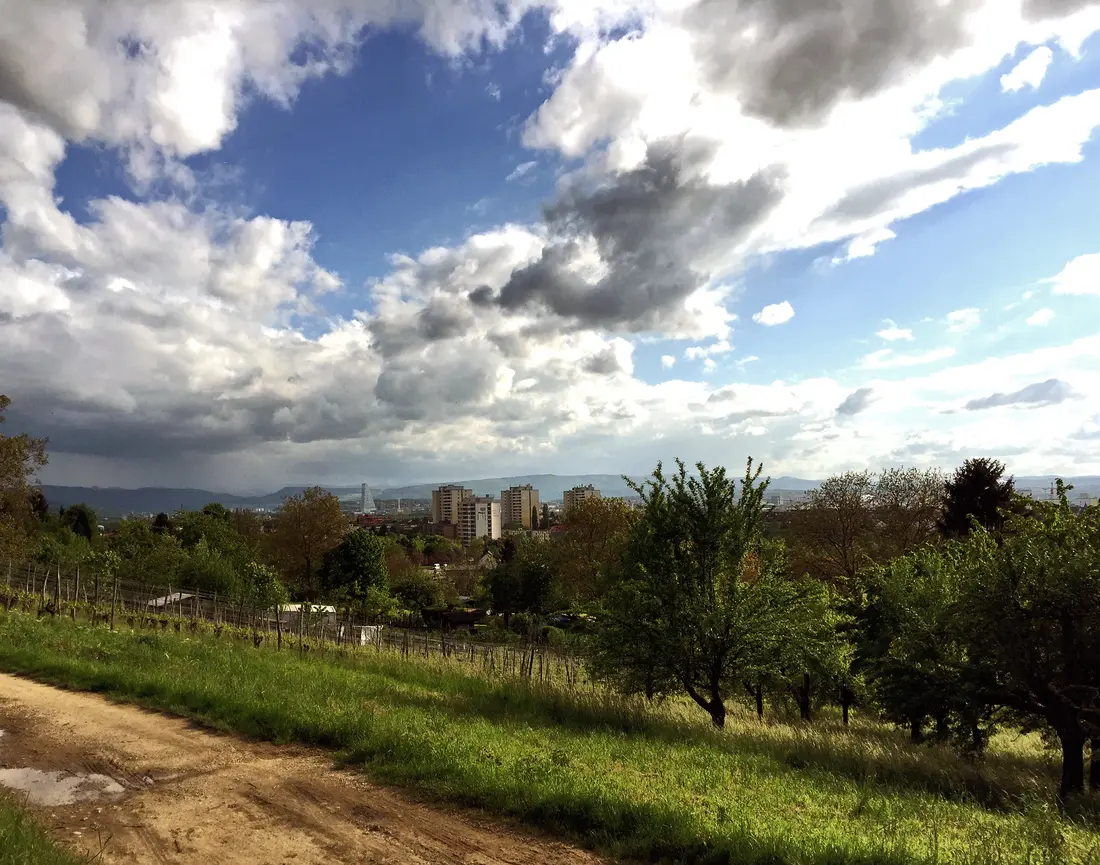 Serie Haltingen zeigt Fotos aus dem Markgräfler Land  