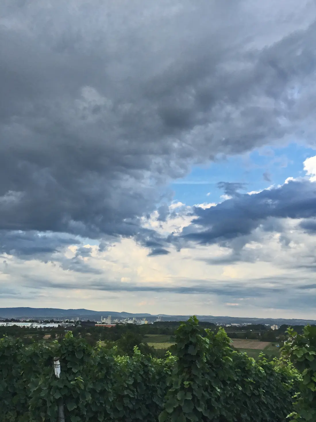 Serie Haltingen zeigt Fotos aus dem Markgräfler Land  