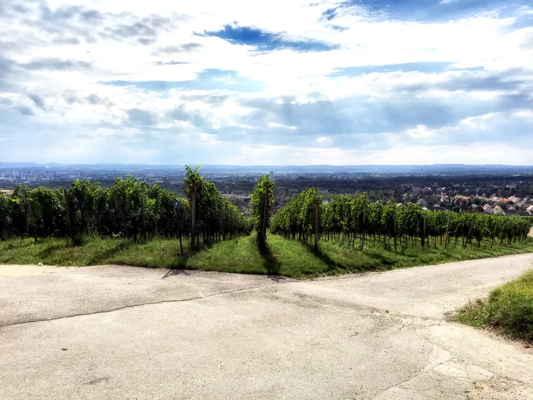 Serie Haltingen zeigt Fotos aus dem Markgräfler Land  