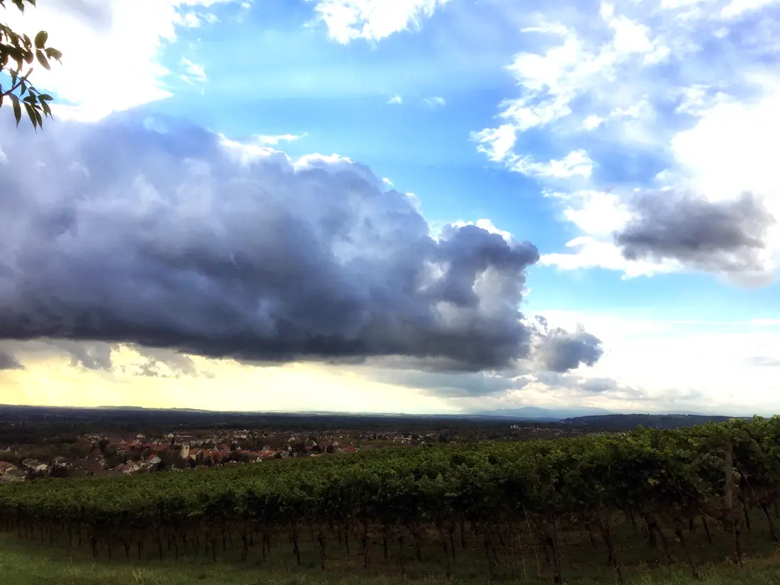 Serie Haltingen zeigt Fotos aus dem Markgräfler Land  