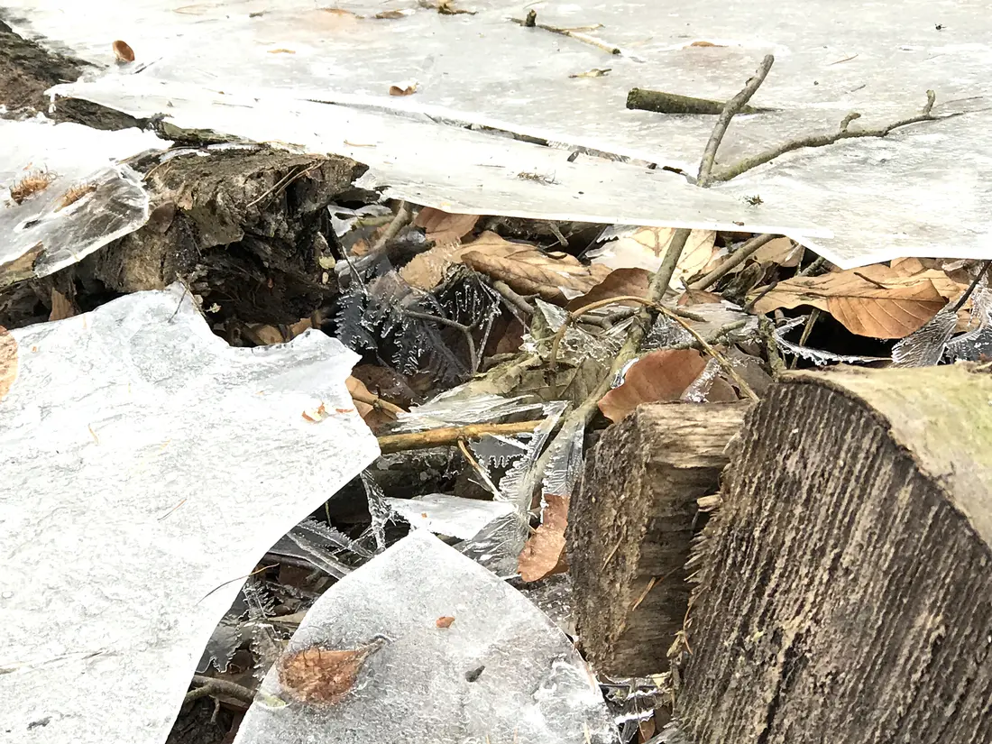 gebrochenes Eis auf einer Waldpfütze 