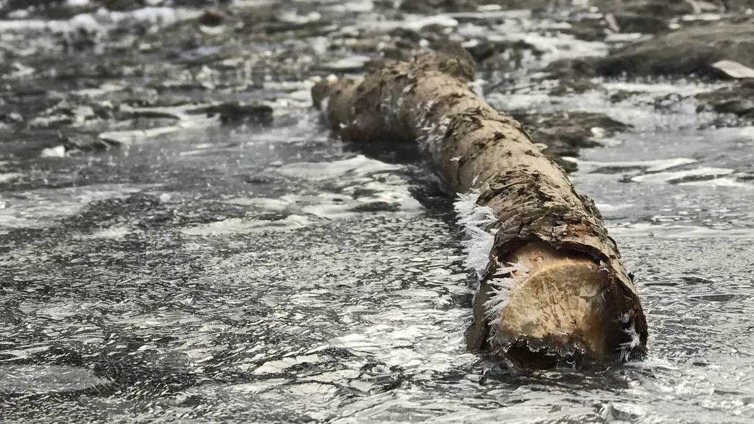 Eiskristalle an einem Ast im zugefrorenen Bach