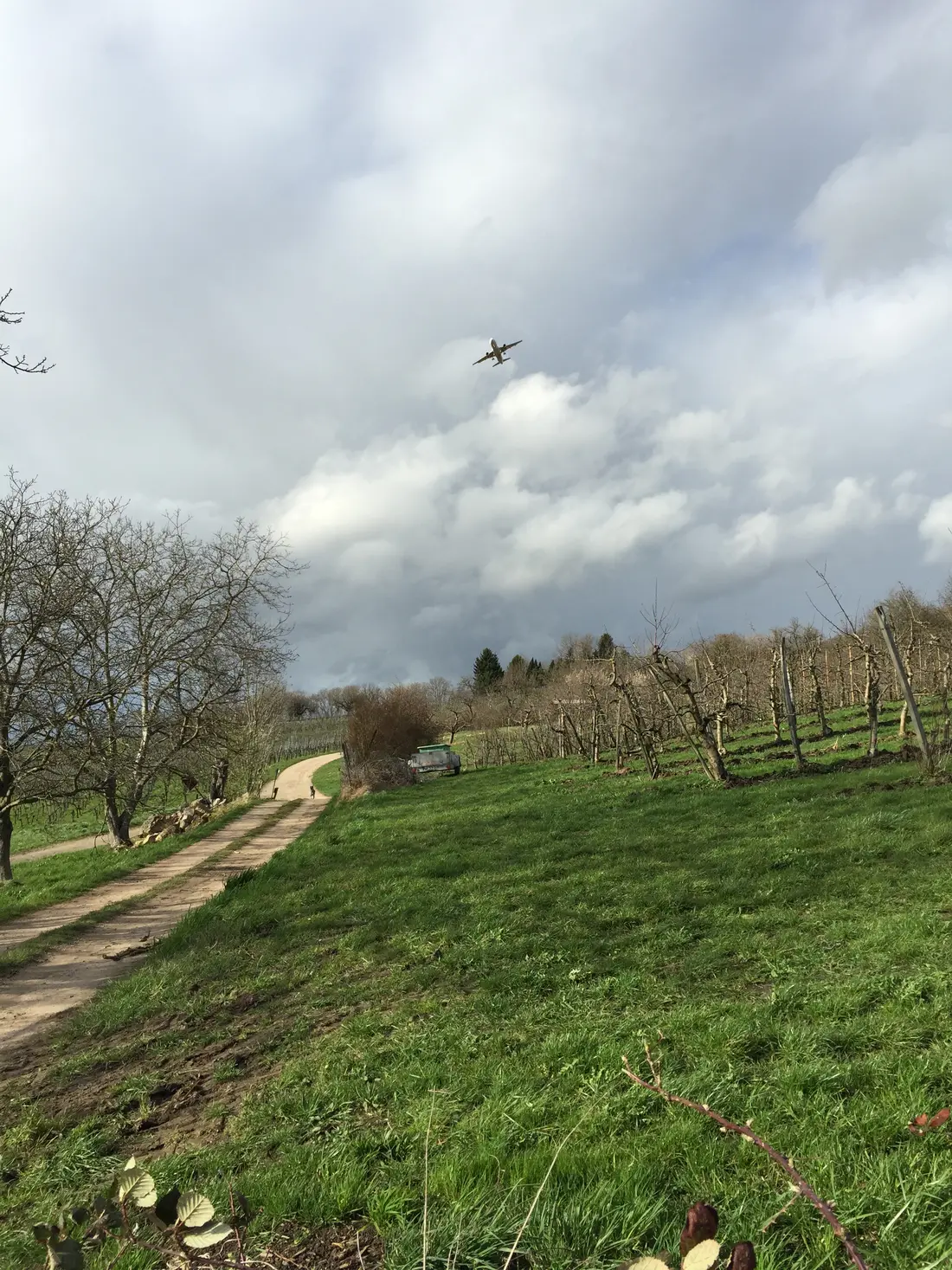 Serie Haltingen zeigt Fotos aus dem Markgräfler Land  