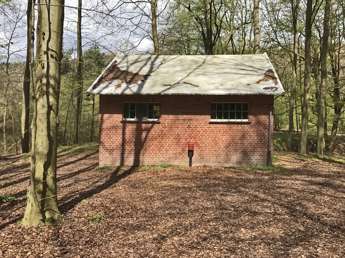 Haus im Wald