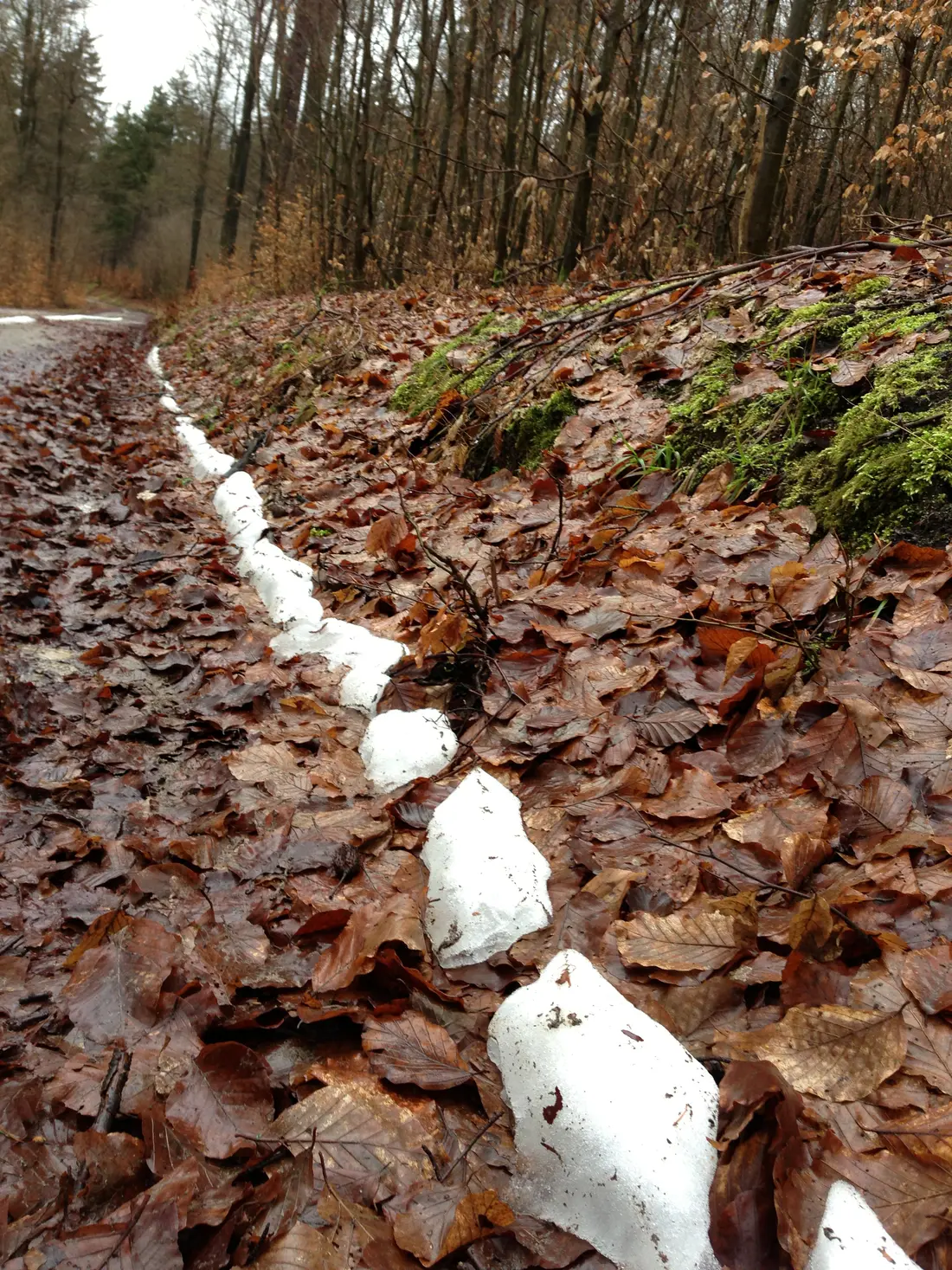 Eine Linie Schneereste