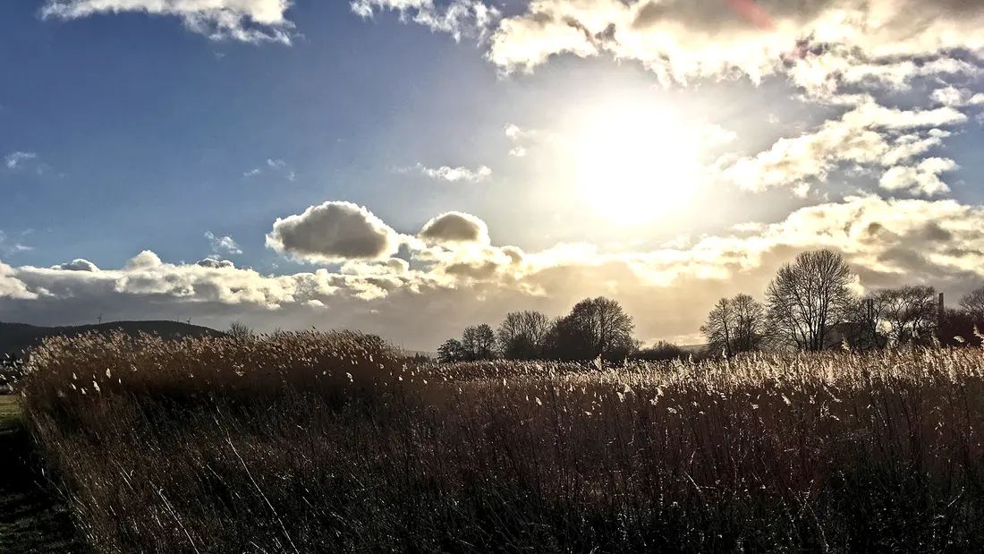 Winterlicht auf dem Spaziergang mit dem Hund