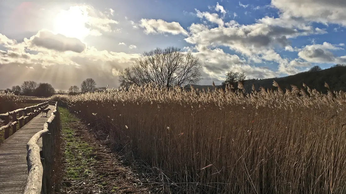 Im Naturschutzgebiet