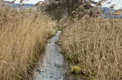 Bachlauf bei Heringen