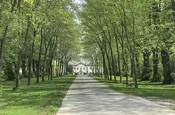 Eine beeindruckende Allee