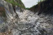 Serie Haltingen zeigt Fotos aus dem Markgräfler Land