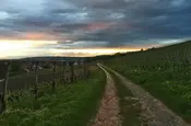 Serie Haltingen zeigt Fotos aus dem Markgräfler Land