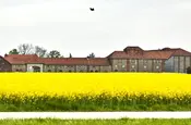 Ein langgestrecktes Gutgebäude hinter einem blühenden Rapsfeld