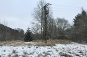 Stromtrasse verschwindet mitten im Wald im Boden