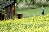 Serie Haltingen zeigt Fotos aus dem Markgräfler Land