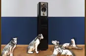 His Masters Voice - Hunde lauschen dem Lautsprecher