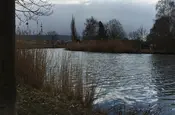 Eine Flusslandschaft - die Werra bei Heringen