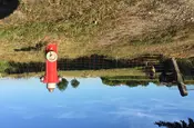 Ein Hydrant mitten in der Landschaft mit ein paar Schafen im Hintergrund