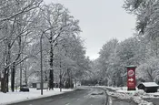 Die Strasse von gestern bei Lichte besehen