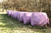 Silage-Ballen in rosa Plastik